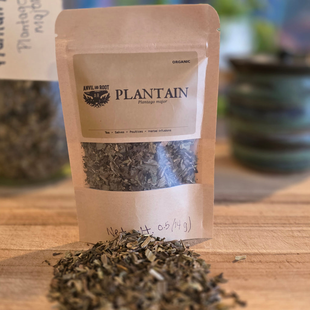 Plantain Leaf — Cut & Sifted, Organic