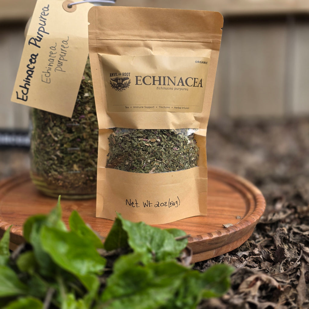 Echinacea Purpurea — Cut & Sifted, Organic