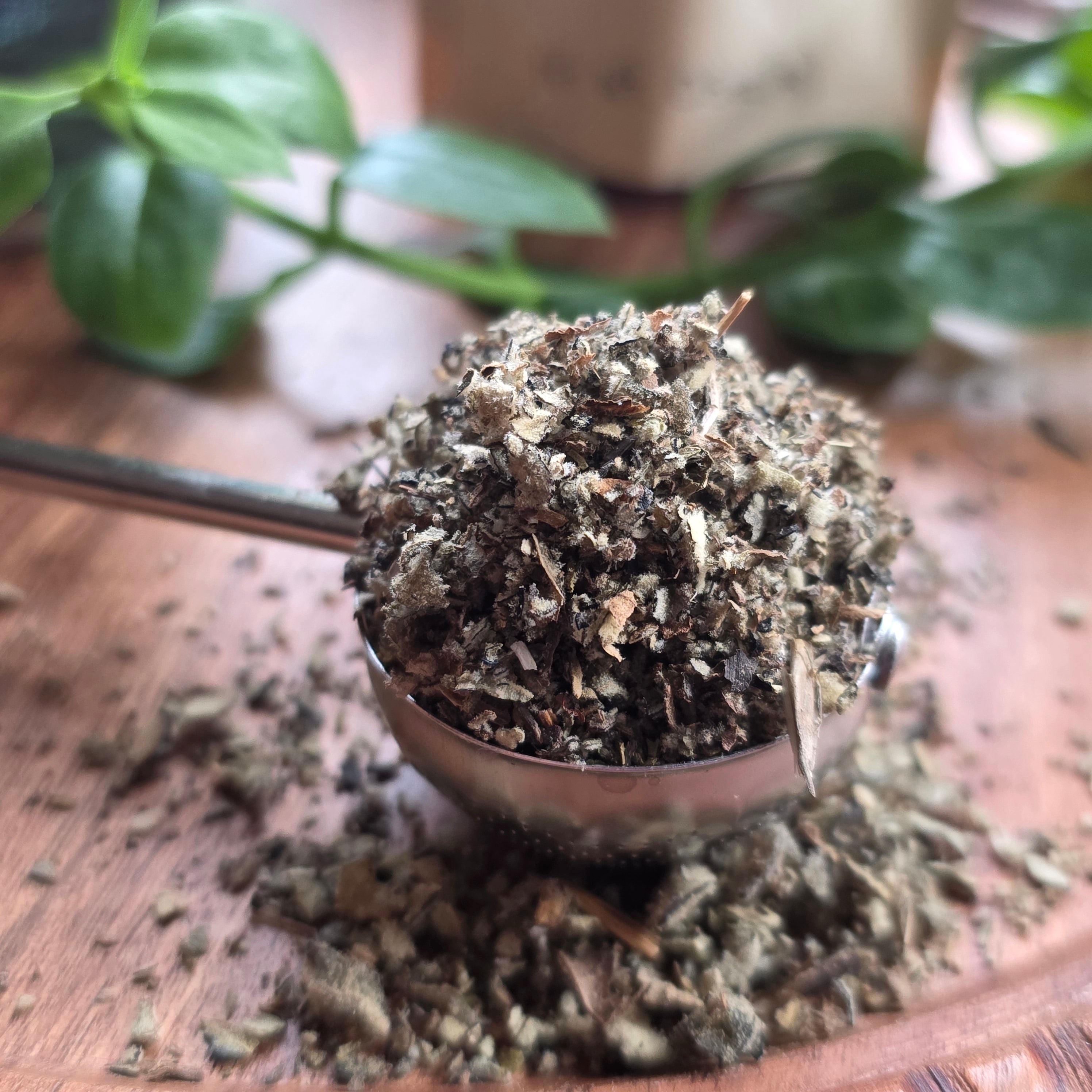 Gotu Kola Herb — Cut & Sifted, Organic
