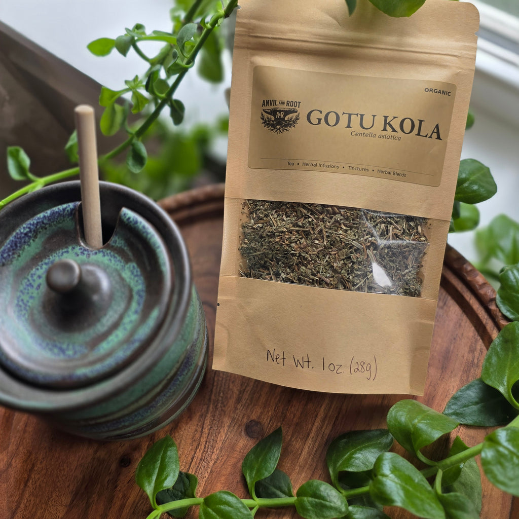 Gotu Kola Herb — Cut & Sifted, Organic