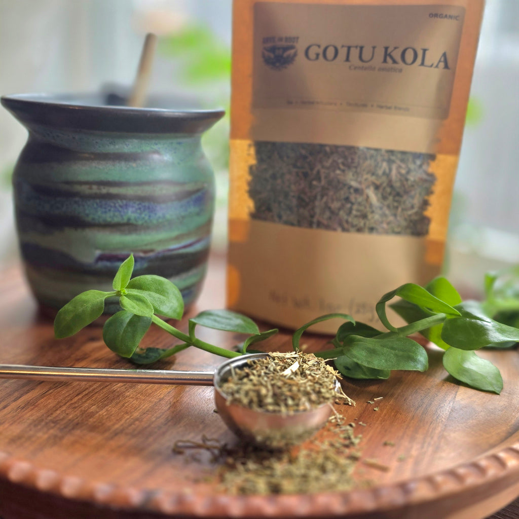 Gotu Kola Herb — Cut & Sifted, Organic