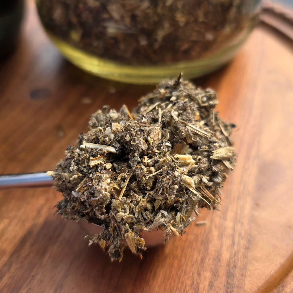 Mugwort Herb — Cut & Sifted, Organic