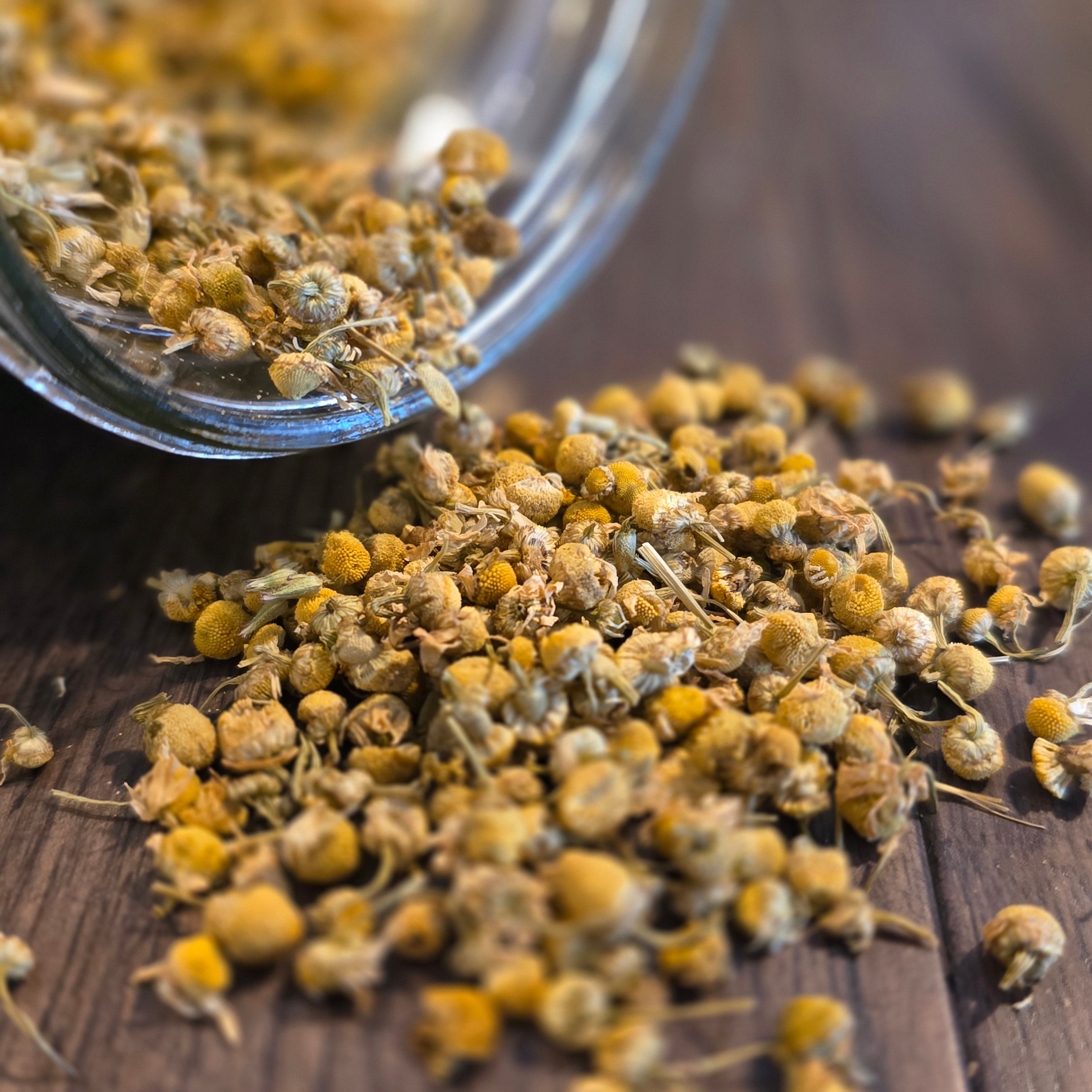 Chamomile Flowers — Whole, Organic (Egyptian)