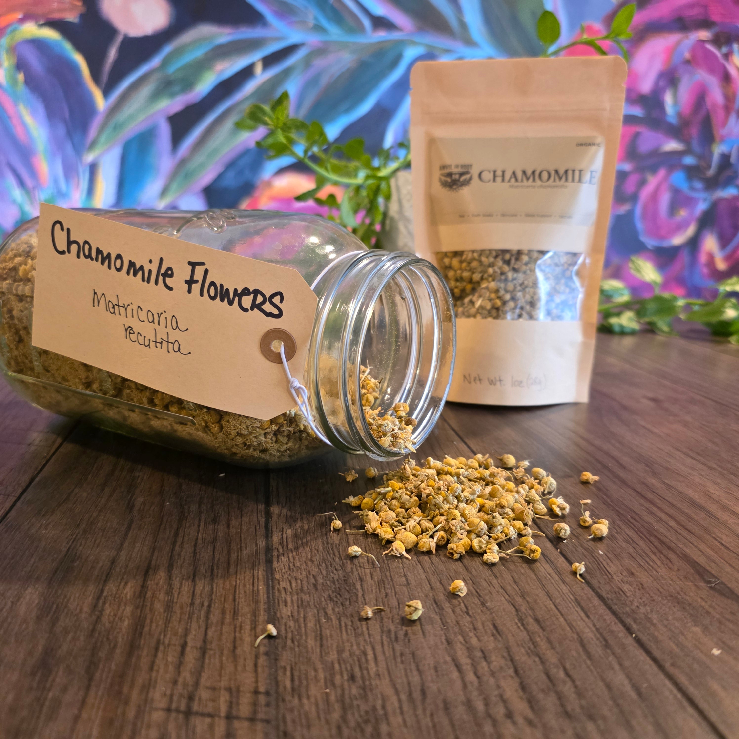 Chamomile Flowers — Whole, Organic (Egyptian)