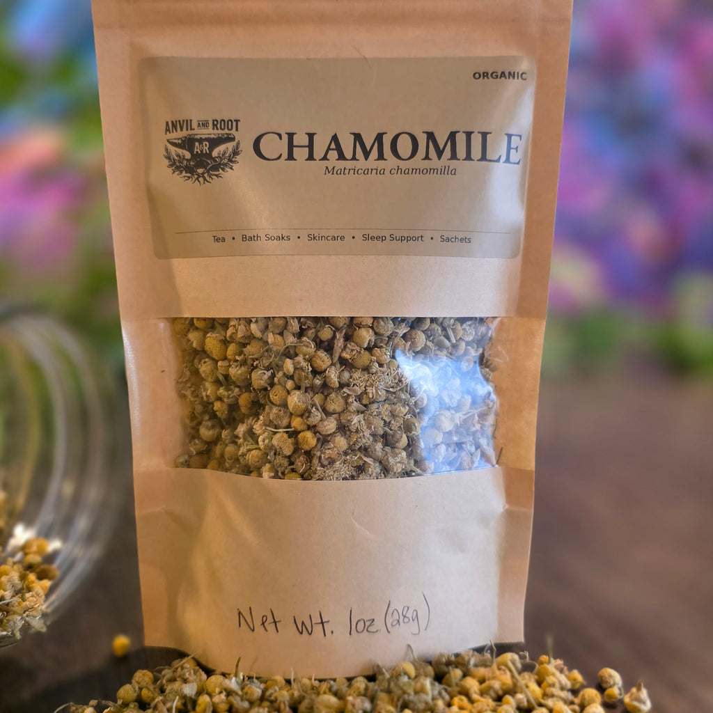 Chamomile Flowers — Whole, Organic (Egyptian)