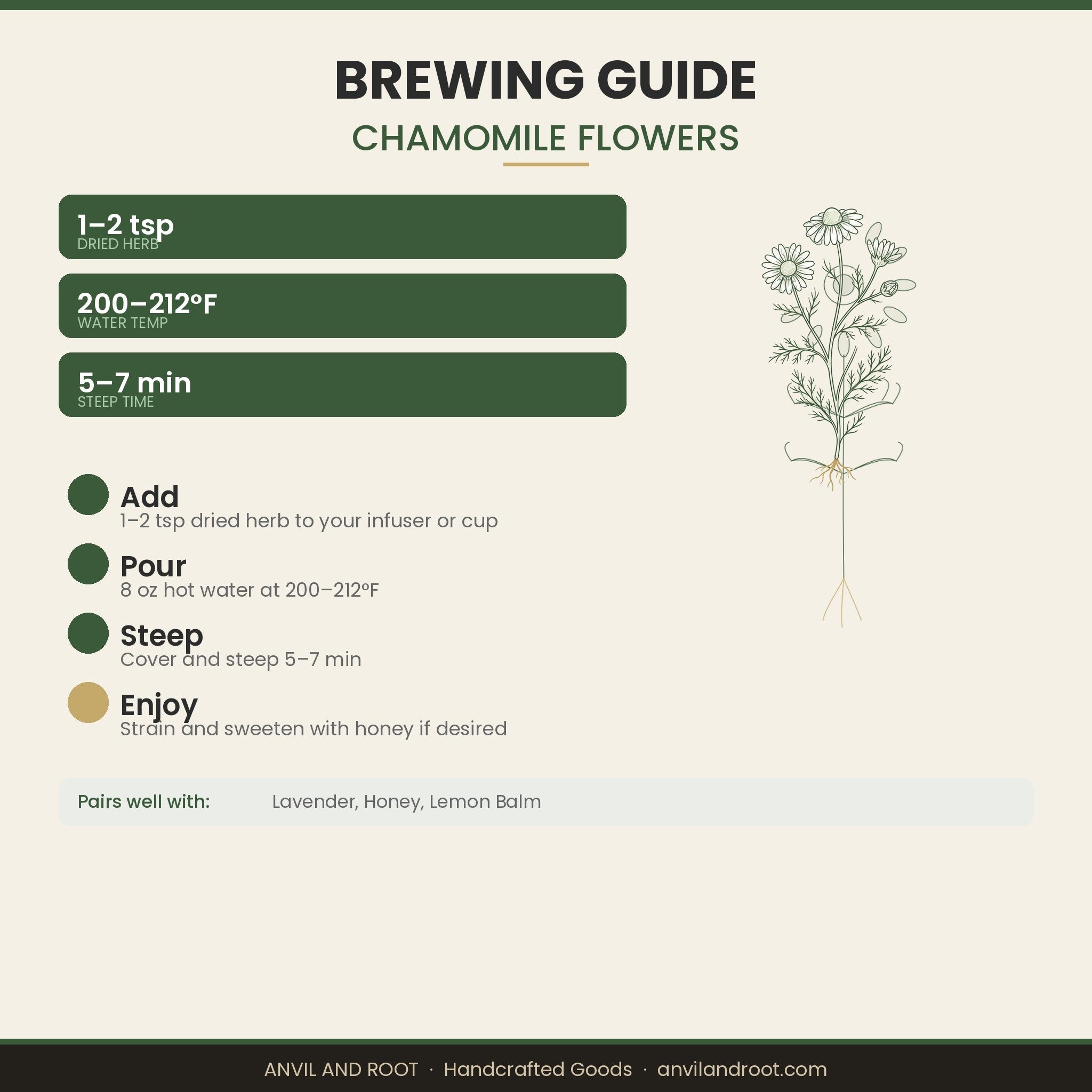 Chamomile Flowers — Whole, Organic (Egyptian)