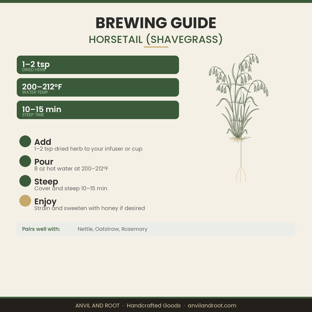 Horsetail (Shavegrass) — Cut & Sifted, Organic
