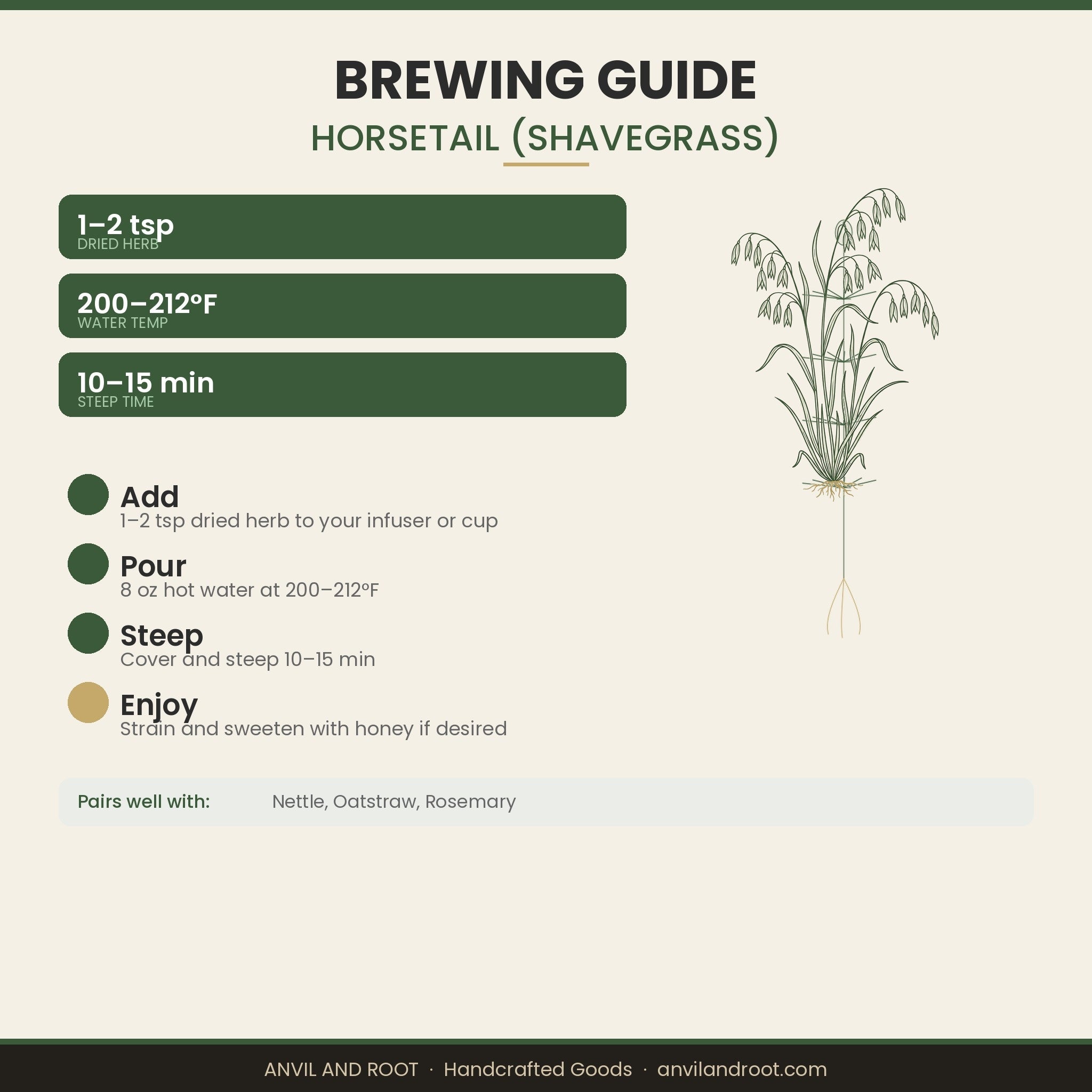 Horsetail (Shavegrass) — Cut & Sifted, Organic
