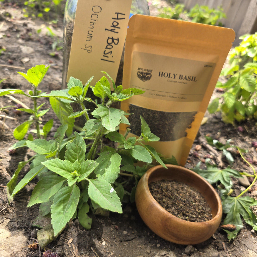 Holy Basil (Tulsi) — Cut & Sifted, Organic - Anvil & Root