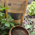 Holy Basil (Tulsi) — Cut & Sifted, Organic - Anvil & Root