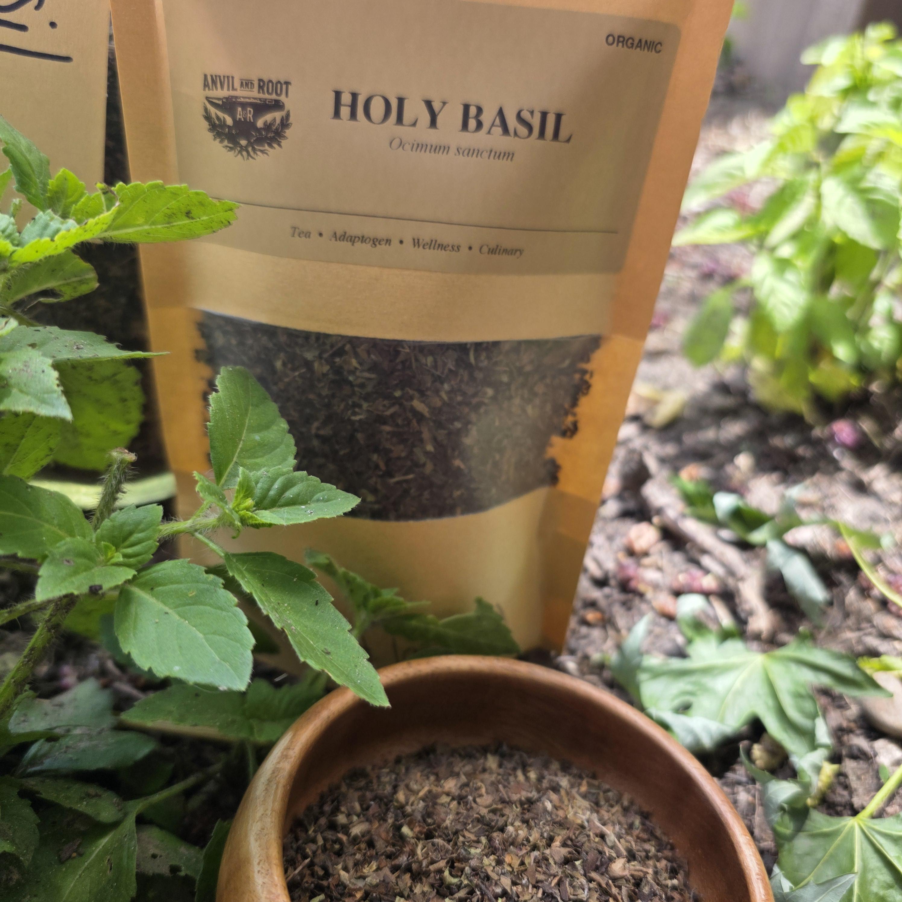 Holy Basil (Tulsi) — Cut & Sifted, Organic - Anvil & Root