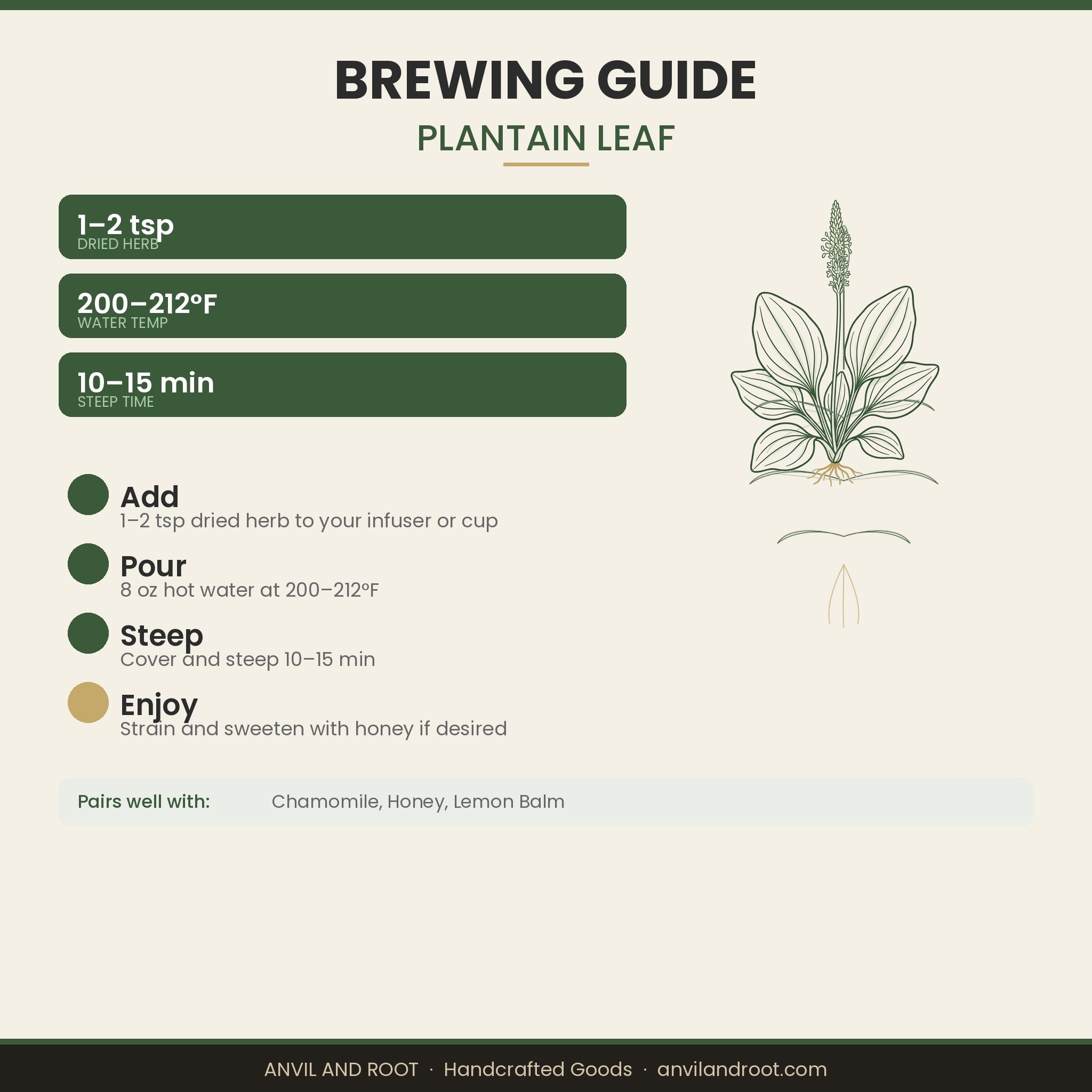 Plantain Leaf — Cut & Sifted, Organic