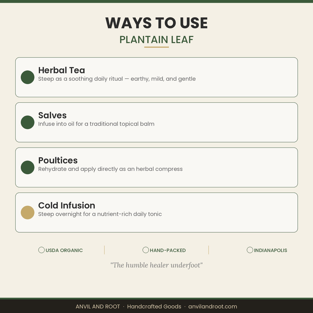 Plantain Leaf — Cut & Sifted, Organic