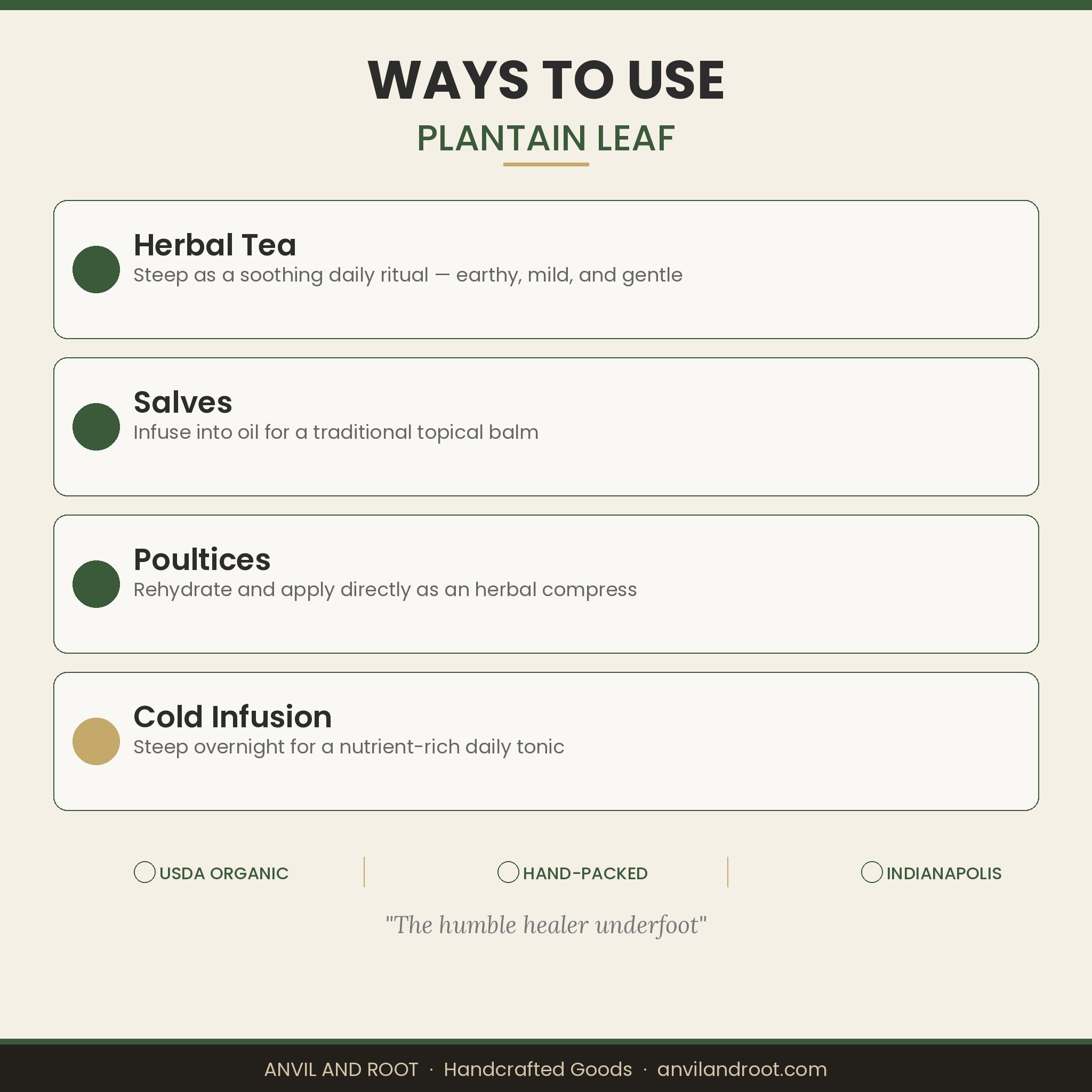 Plantain Leaf — Cut & Sifted, Organic