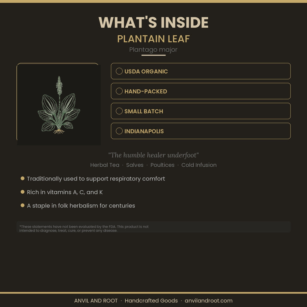 Plantain Leaf — Cut & Sifted, Organic