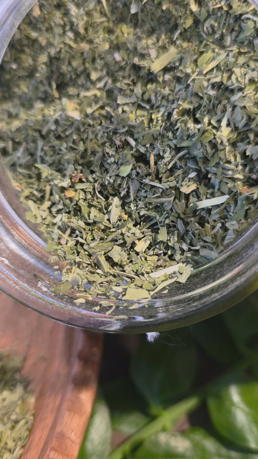 Catnip Leaf — Cut & Sifted, Organic