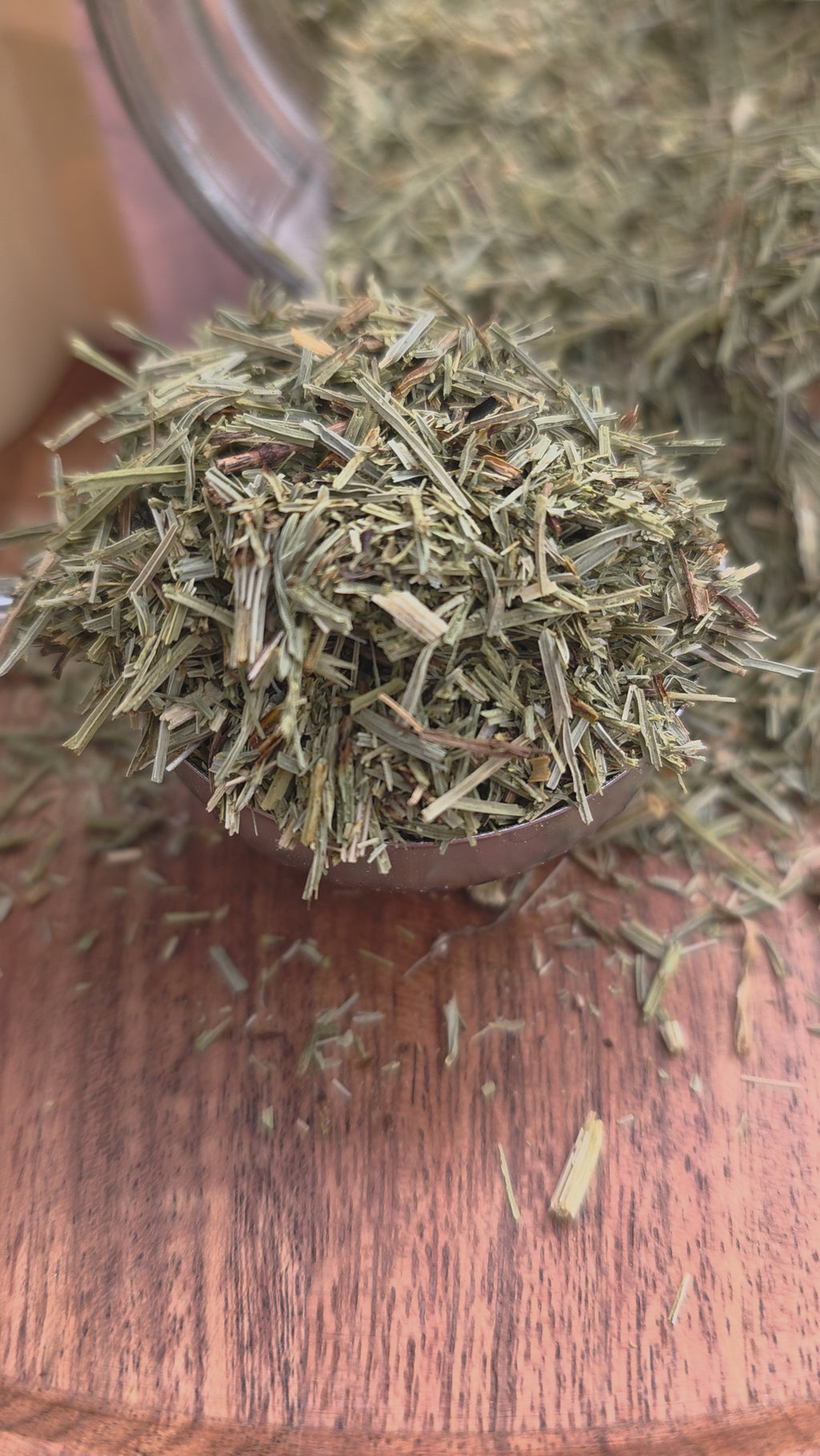 Horsetail (Shavegrass) — Cut & Sifted, Organic