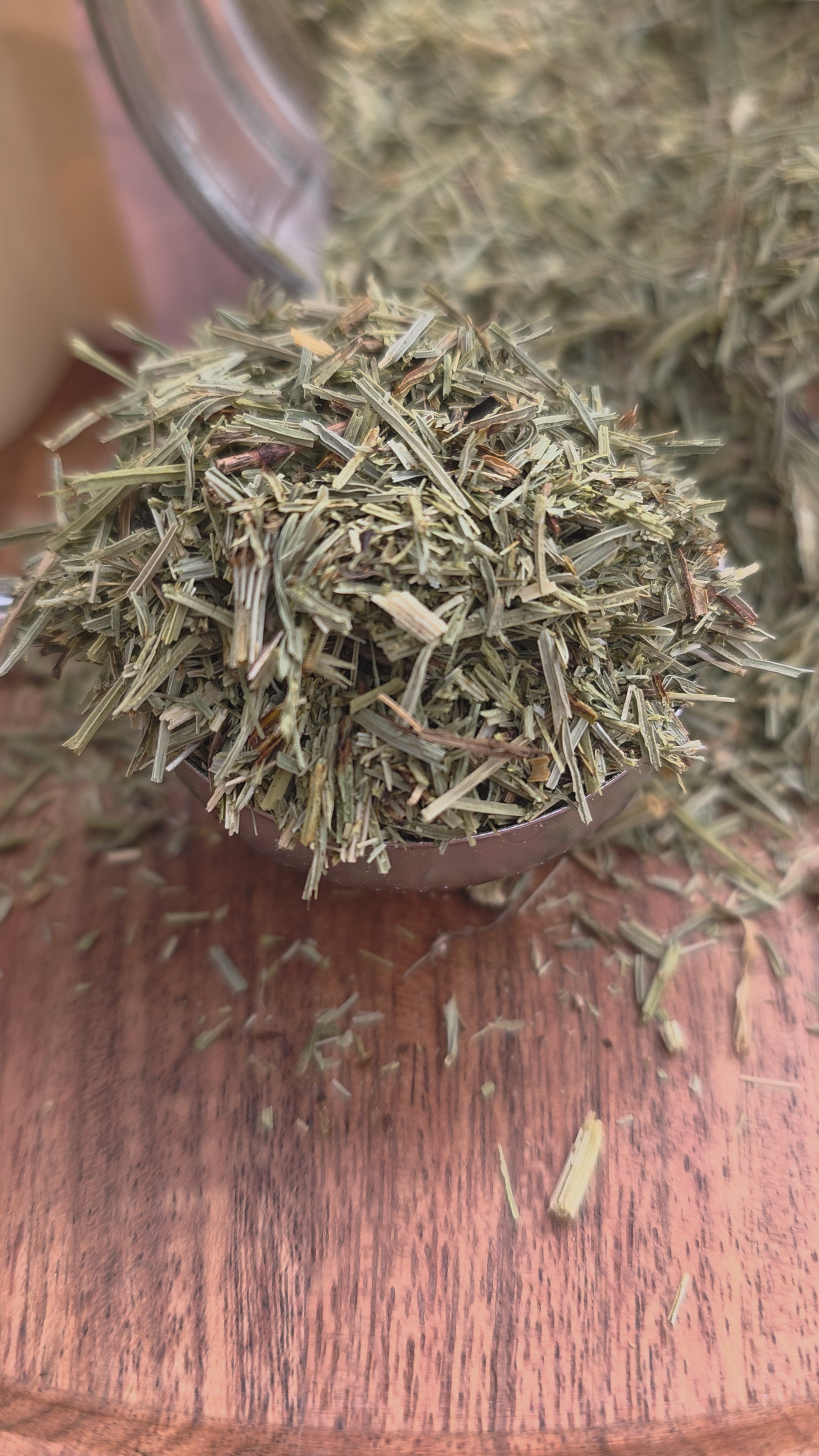 Horsetail (Shavegrass) — Cut & Sifted, Organic