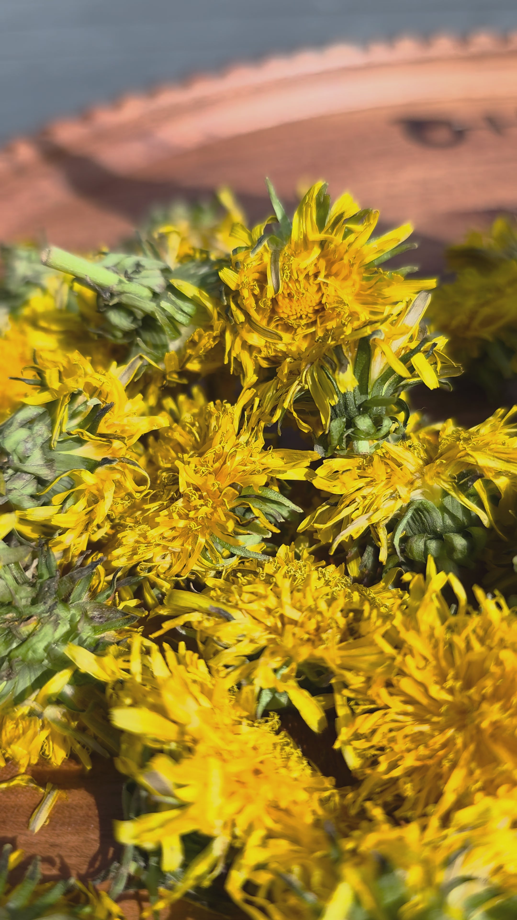 Dandelion Root — Raw, Cut & Sifted, Organic