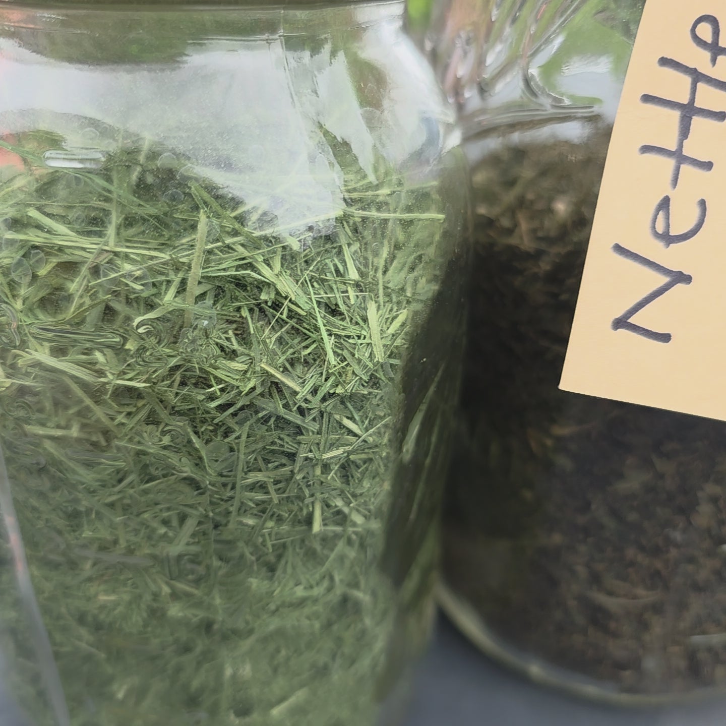 Anchor and Root - Organic Loose-Leaf Tea Blend