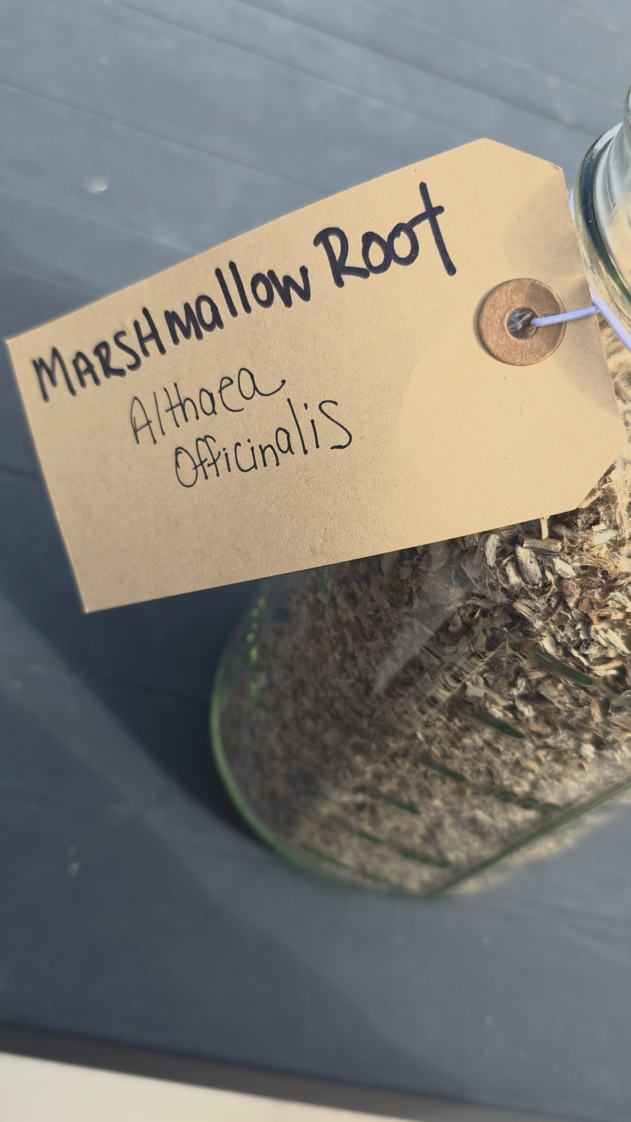 Marshmallow Root — Cut & Sifted, Organic