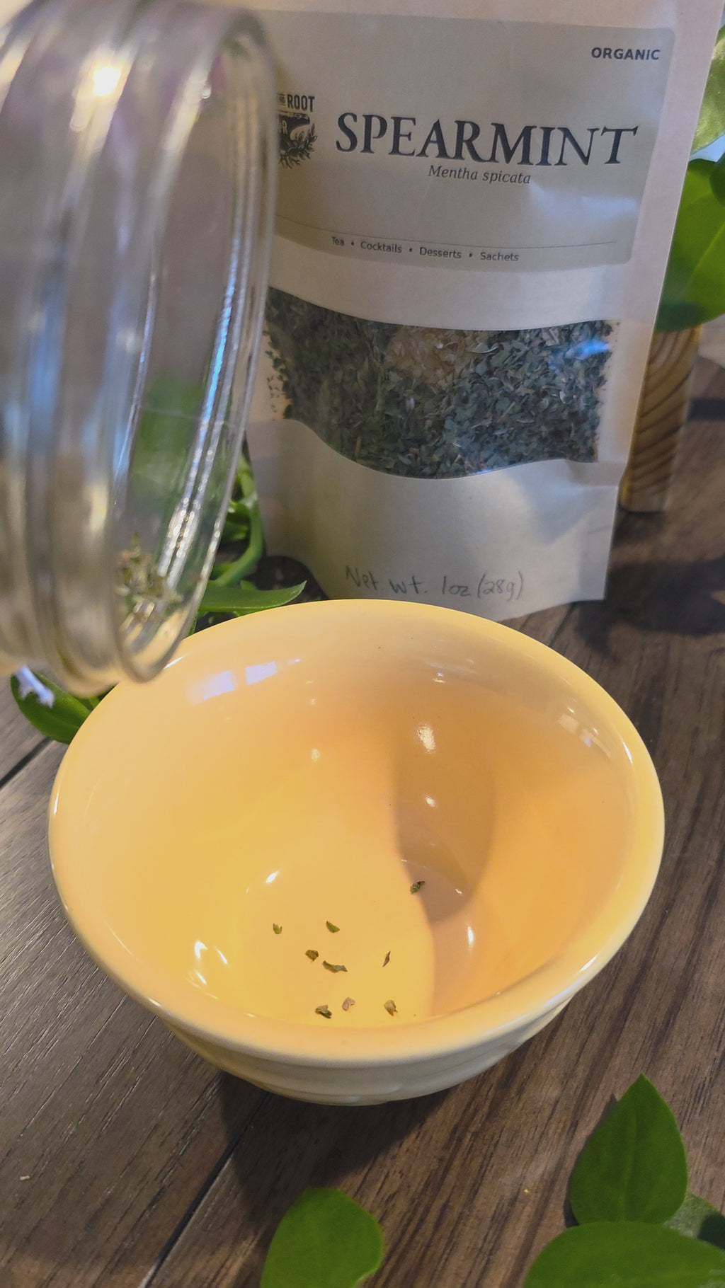 Spearmint Leaf — Cut & Sifted, Organic