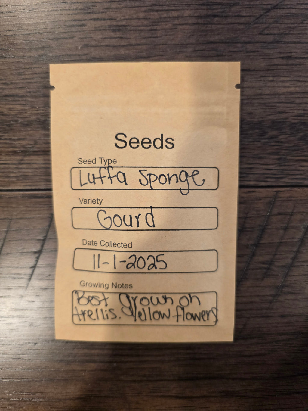 Luffa Seeds
