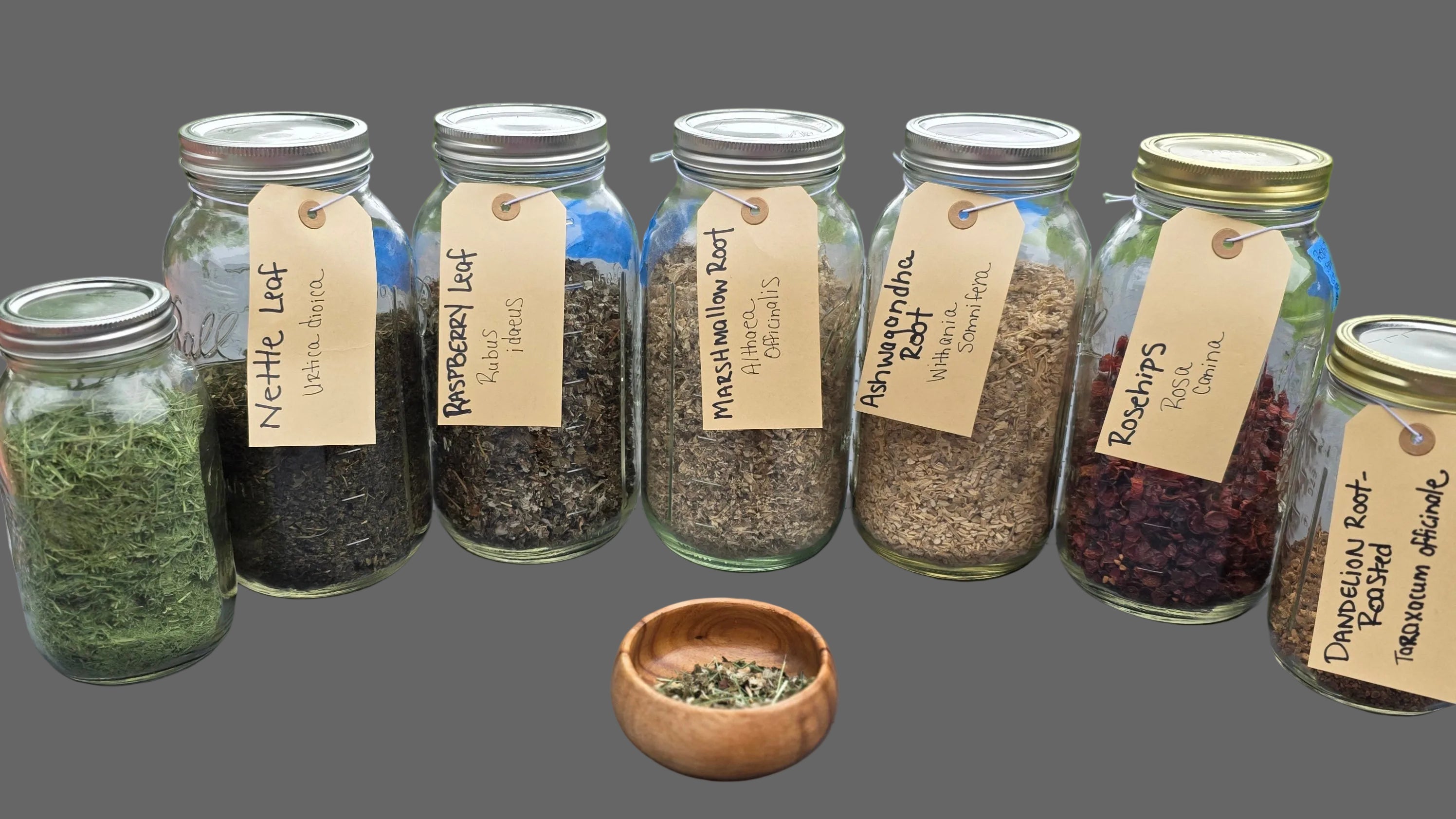 Anchor and Root - Organic Loose-Leaf Tea Blend