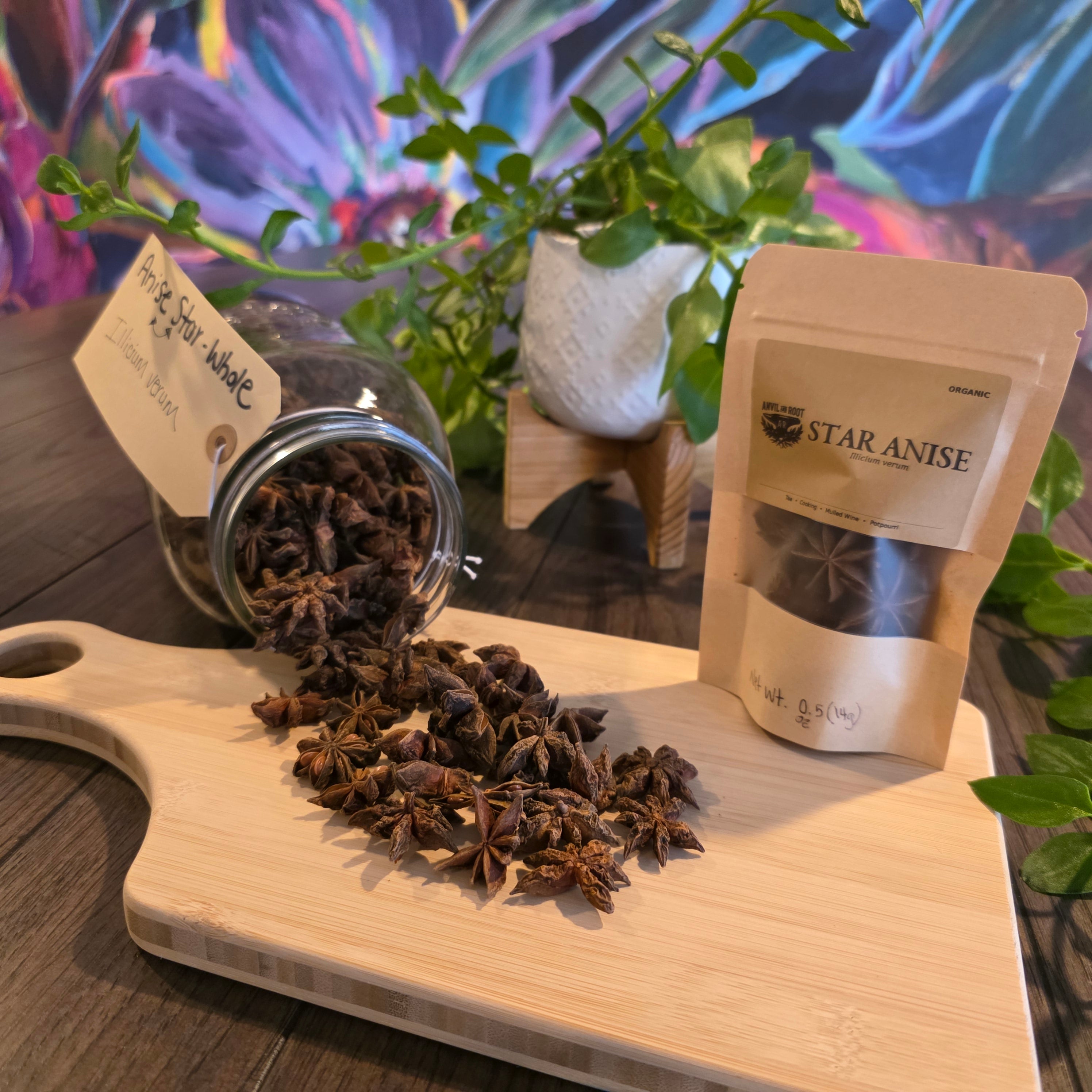 Star Anise — Whole, Organic