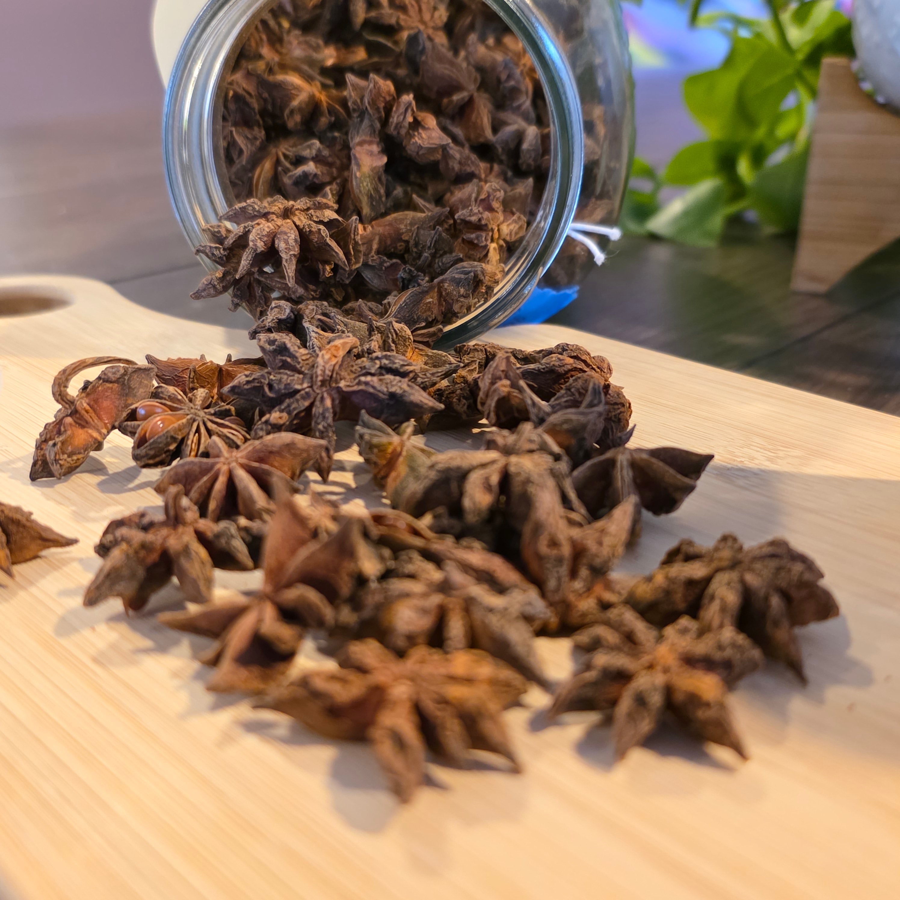 Star Anise — Whole, Organic